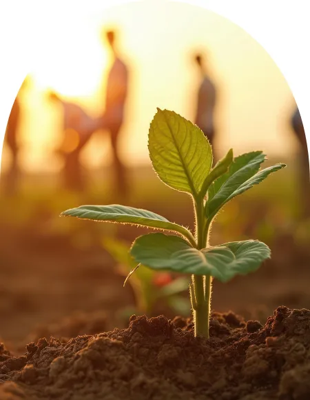 Fresh produce from our trusted growers